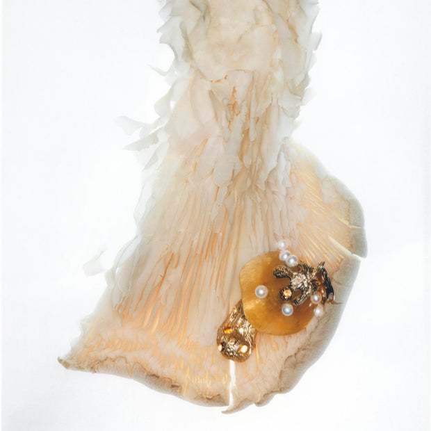 Martina Kocianova, Honey Fungus Charm