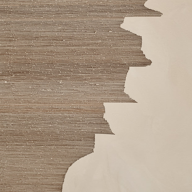 Banita Mistry, Feed 1