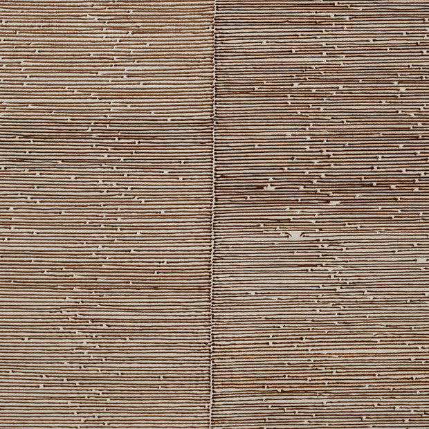 Banita Mistry, Feed 1