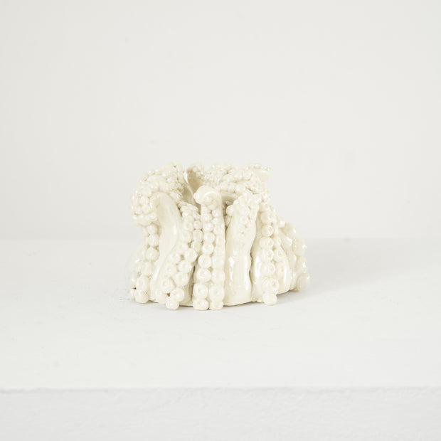 Camilla Hanney, Tentacle Pot