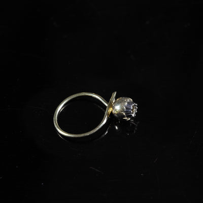 Christopher Thompson Royds, Daisy Chain Bud Ring