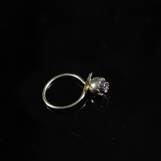 Christopher Thompson Royds, Daisy Chain Bud Ring