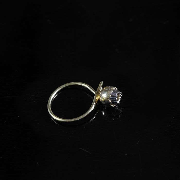 Christopher Thompson Royds, Daisy Chain Bud Ring