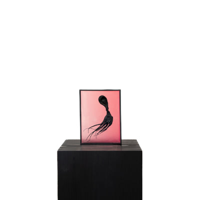 Harriet Horton, Pink Micro Octopus