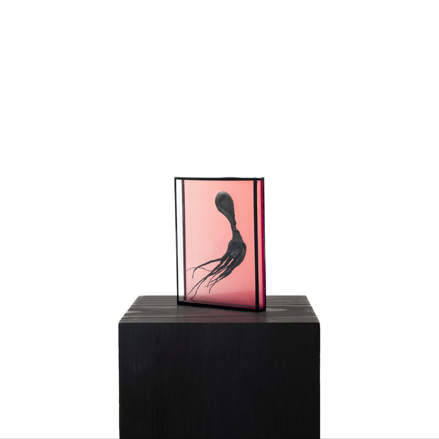 Harriet Horton, Pink Micro Octopus