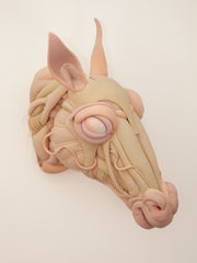 Daisy Collingridge, Unbridled