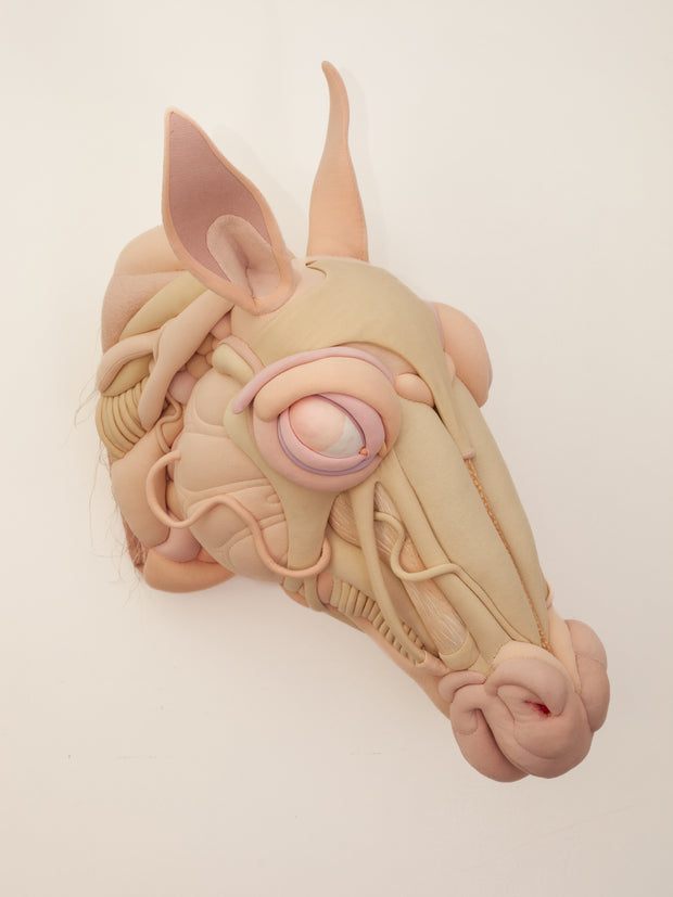 Daisy Collingridge, Unbridled