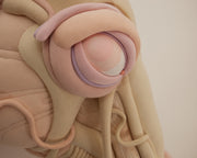 Daisy Collingridge, Unbridled