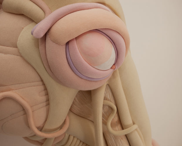 Daisy Collingridge, Unbridled