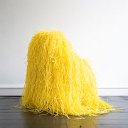 Darcey Fleming, Untitled (Yellow)