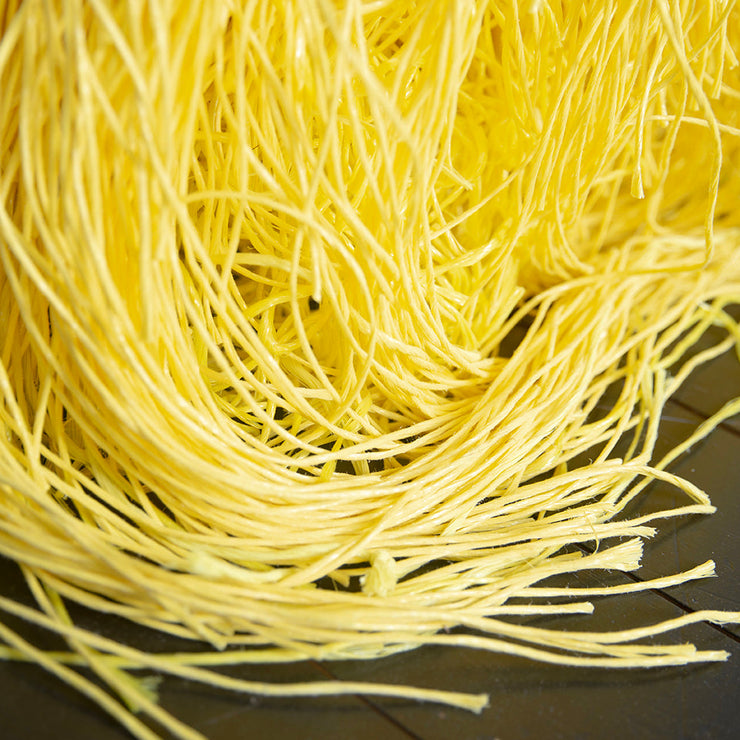 Darcey Fleming, Untitled (Yellow)