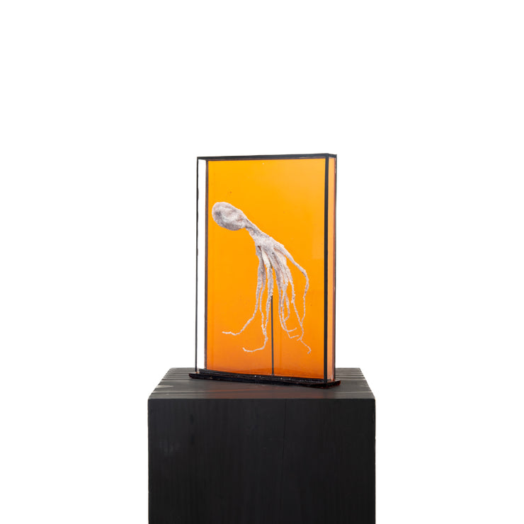 Harriet Horton, Orange Crystallised Octopus