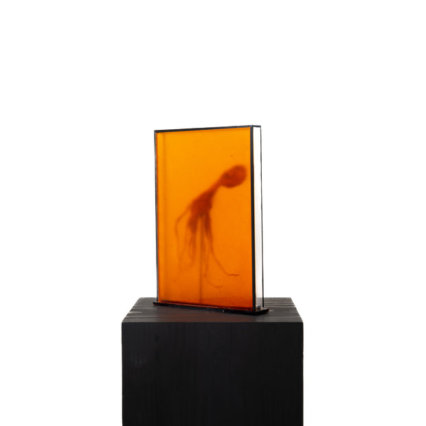 Harriet Horton, Orange Crystallised Octopus