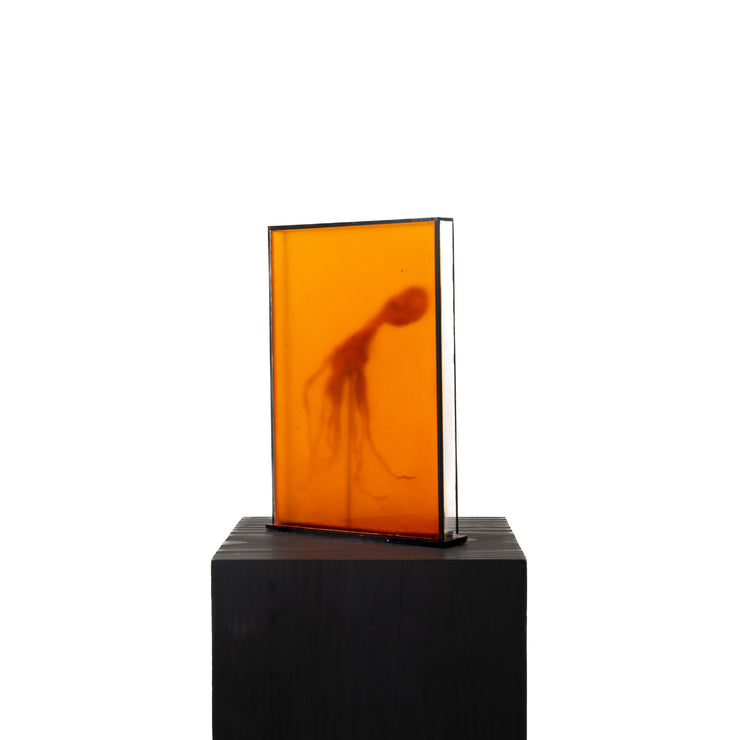 Harriet Horton, Orange Crystallised Octopus