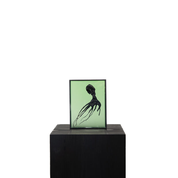 Harriet Horton, Green Micro Octopus