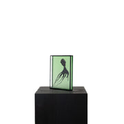 Harriet Horton, Green Micro Octopus