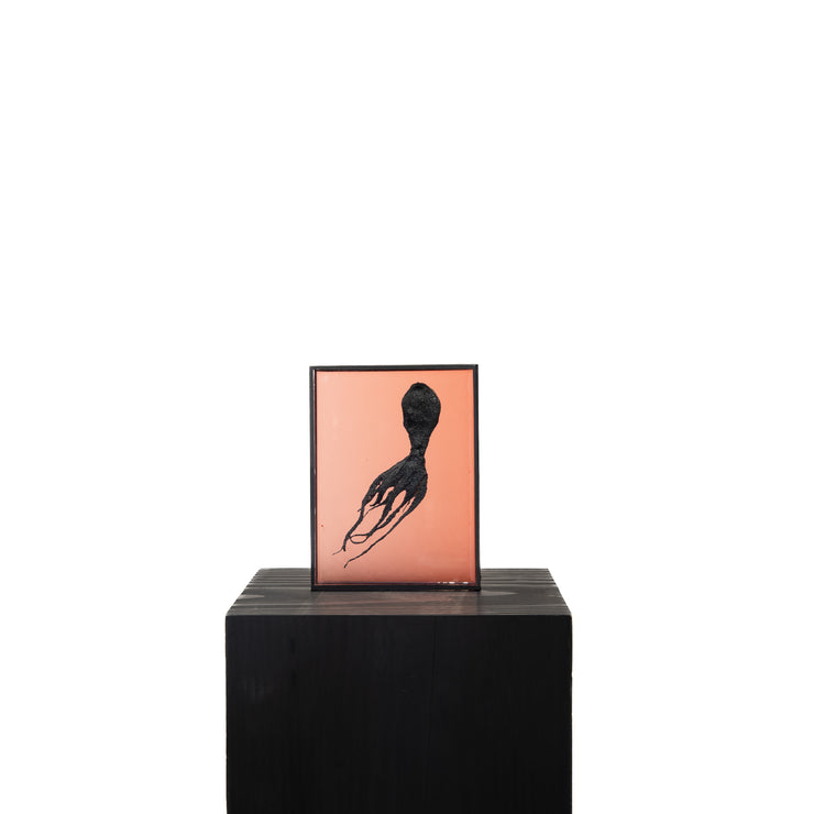 Harriet Horton, Pink Micro Octopus