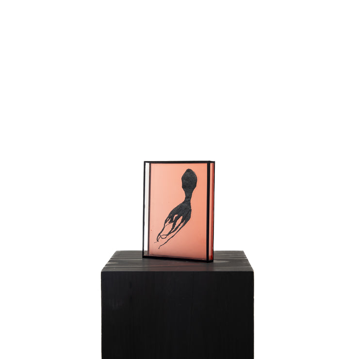 Harriet Horton, Pink Micro Octopus