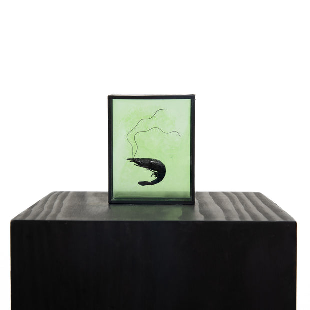 Harriet Horton, Green Micro Prawn