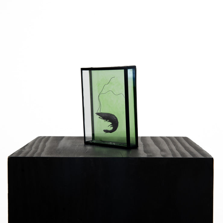 Harriet Horton, Green Micro Prawn