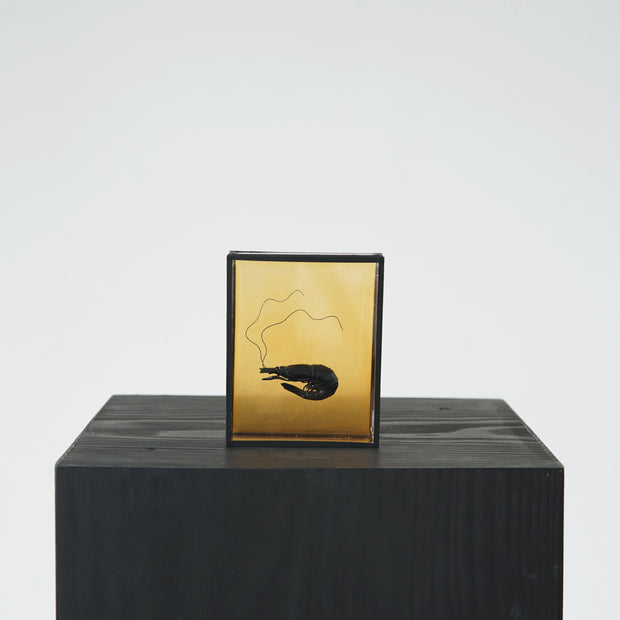 Harriet Horton, Orange Micro Prawn