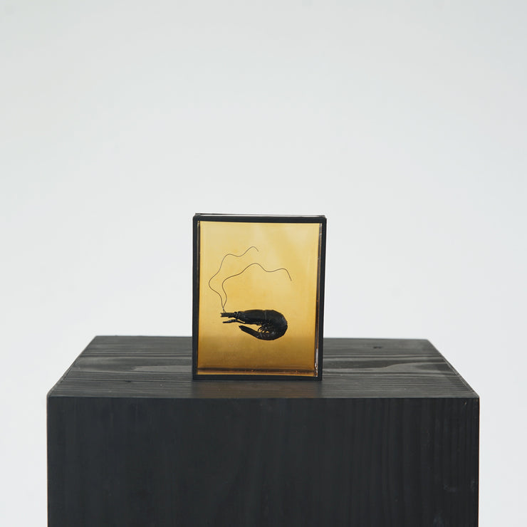 Harriet Horton, Orange Micro Prawn