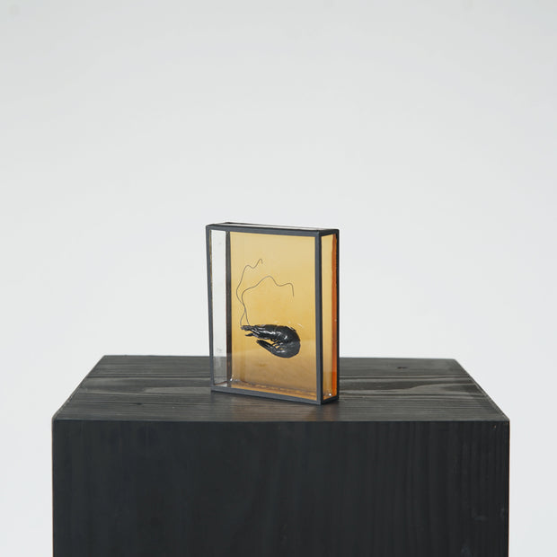 Harriet Horton, Orange Micro Prawn