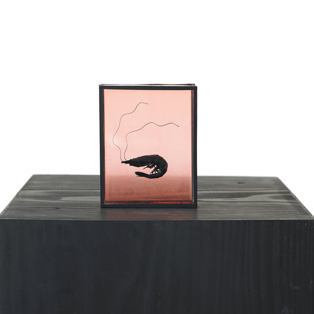 Harriet Horton, Pink Micro Prawn