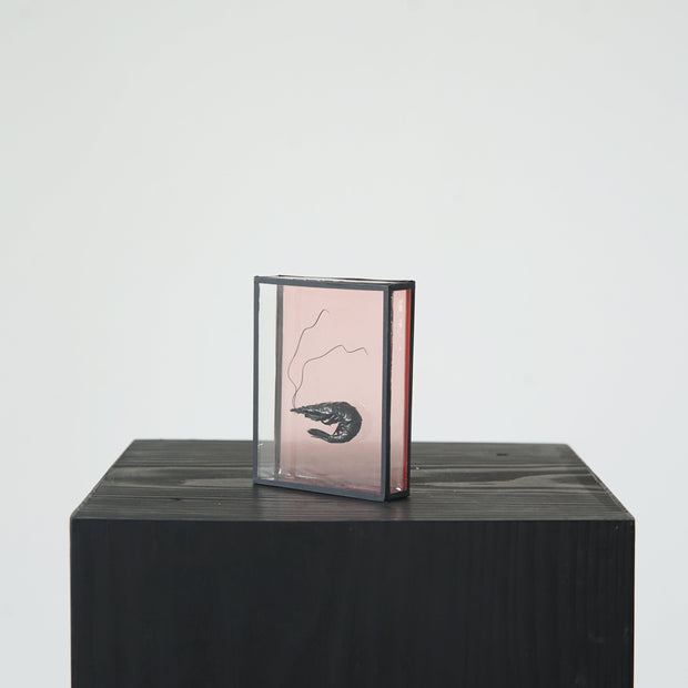 Harriet Horton, Pink Micro Prawn