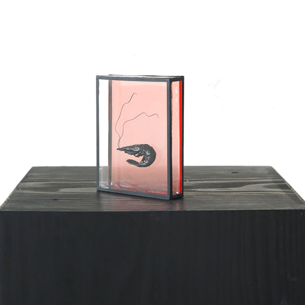 Harriet Horton, Pink Micro Prawn