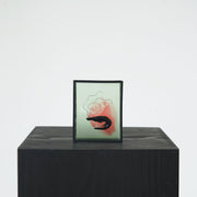 Harriet Horton, Pink and Green Micro Prawn