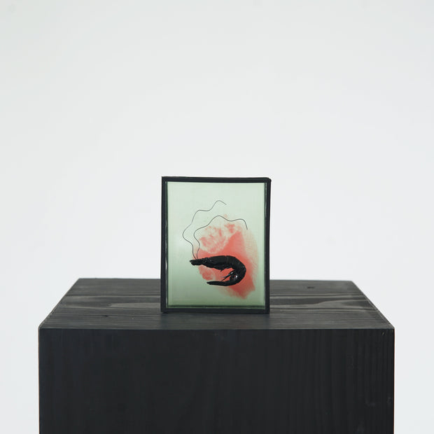 Harriet Horton, Pink and Green Micro Prawn