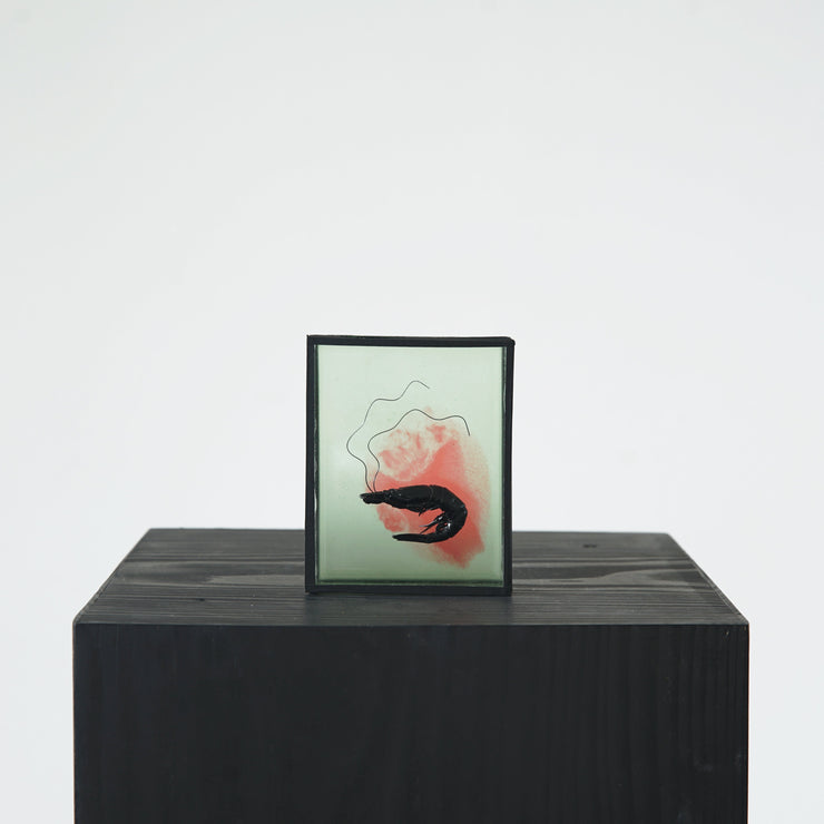 Harriet Horton, Pink and Green Micro Prawn