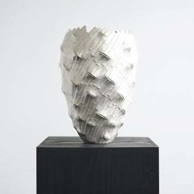 Shinta Nakajima, Tane Bambuksia