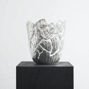 Shinta Nakajima, Tane Cracked Walnut