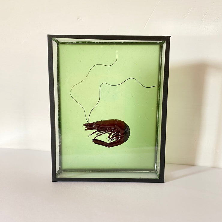 Harriet Horton, Green Micro Prawn