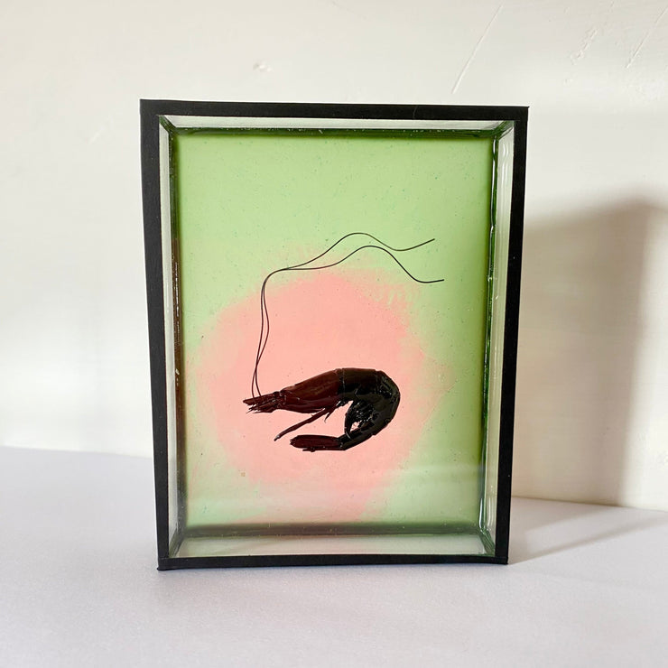 Harriet Horton, Pink and Green Micro Prawn