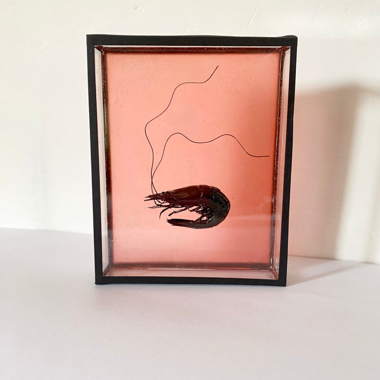 Harriet Horton, Pink Micro Prawn