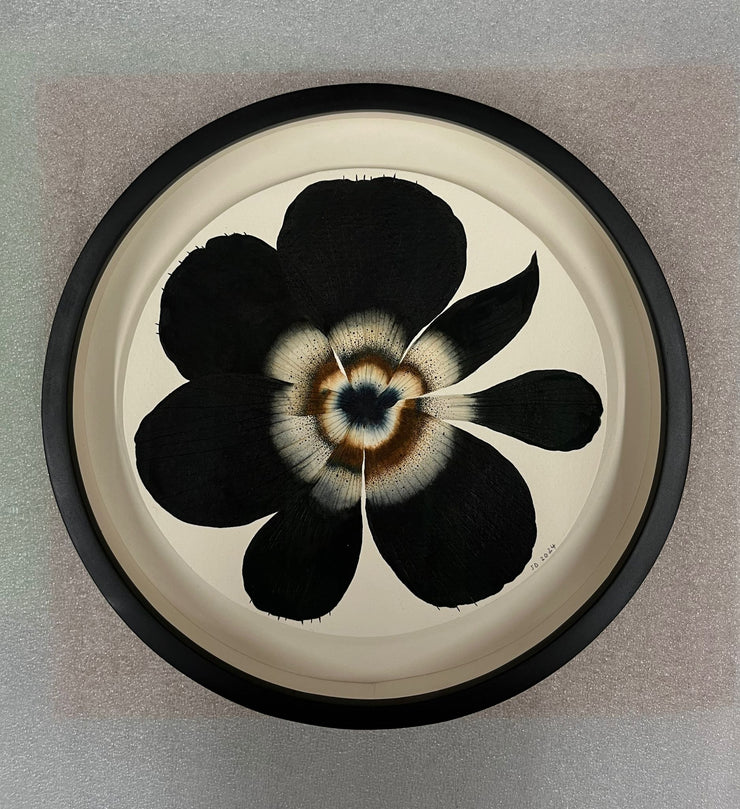 Stephen Doherty, Dark Anemone Miniature 06