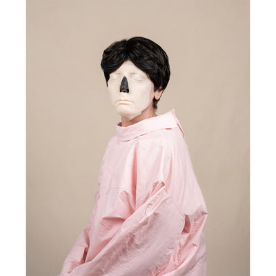 Shirin Fathi, The Disobedient Nose