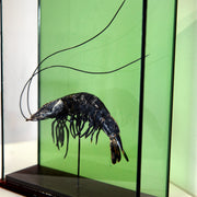 Harriet Horton, Large Taxidermy Prawn